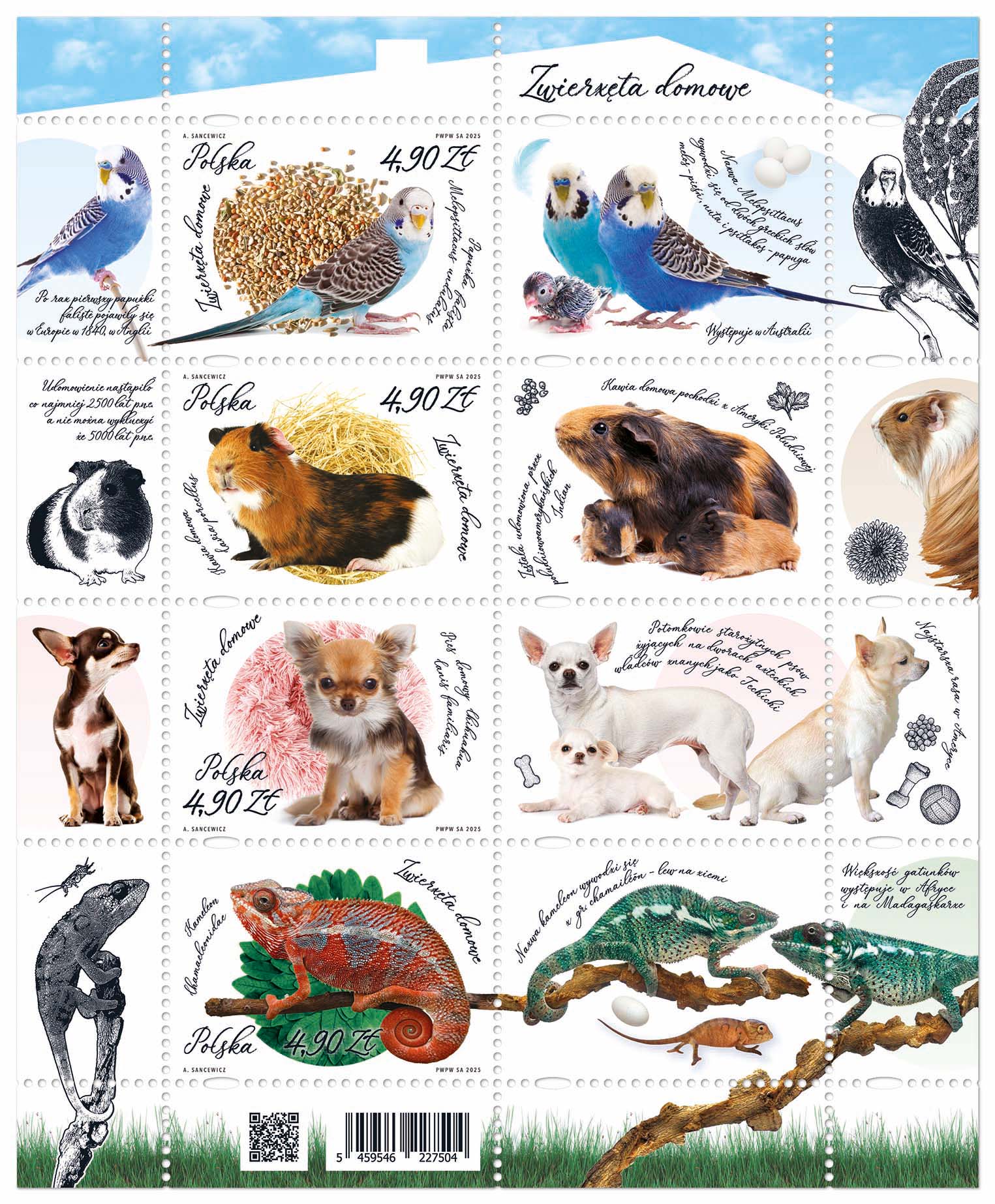 Nowodruk 'Zwierzęta domowe — arkusik