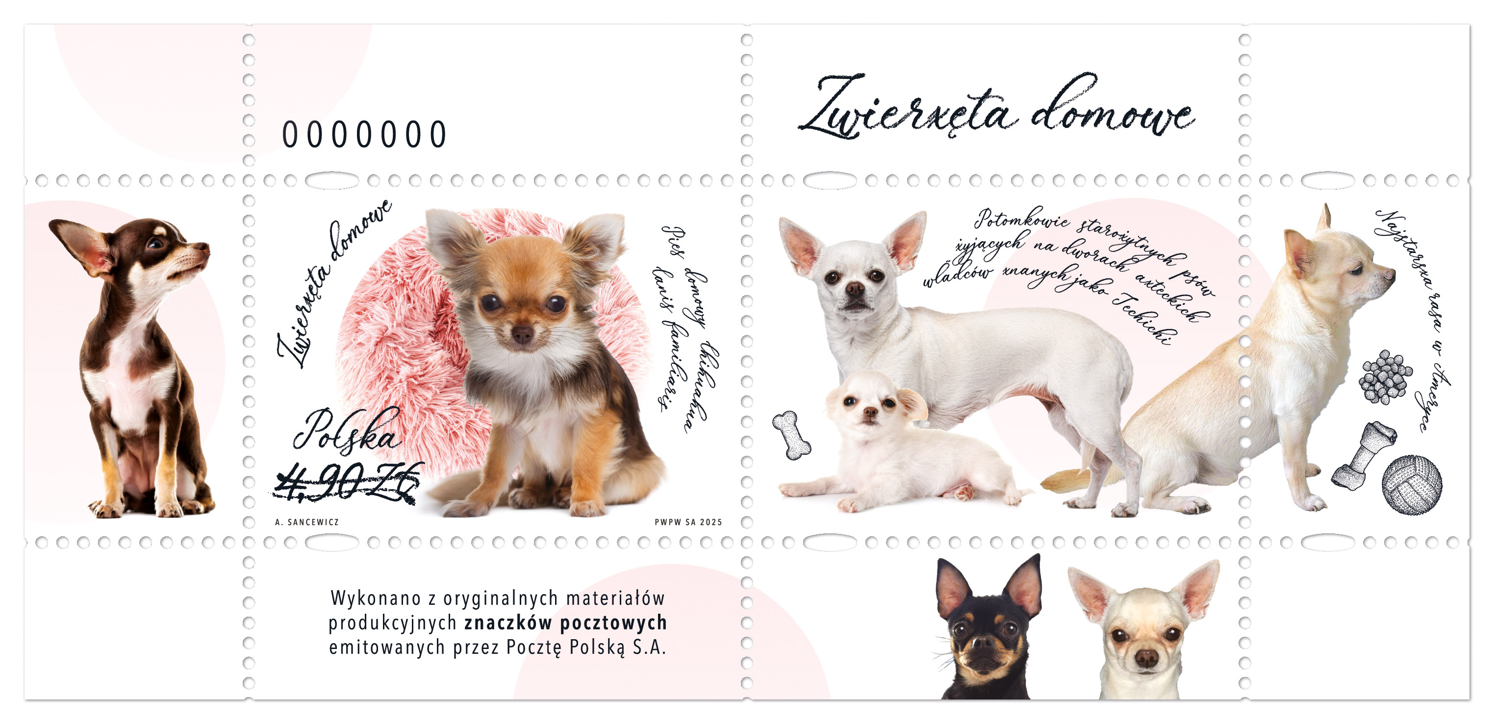 Nowodruk 'Zwierzęta domowe — pies'